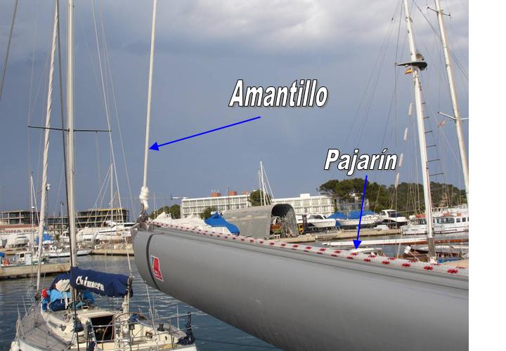 AMANTILLO.jpg