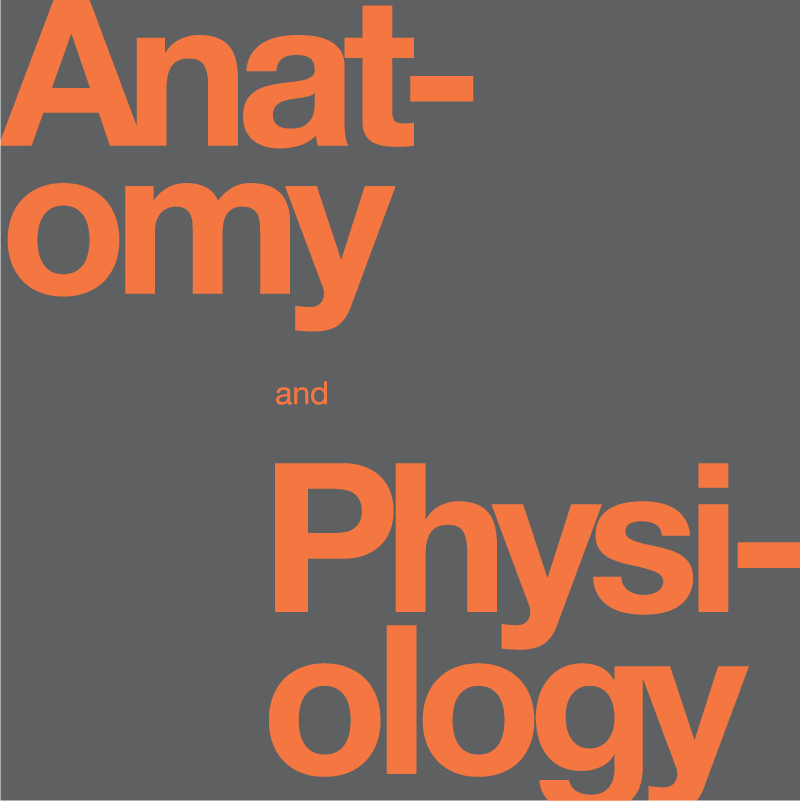 Cover image for Anatomy and Physiology