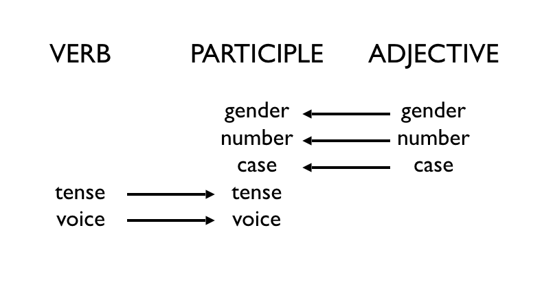 Adjectif verbal образование. Ancient Greek Tenses. Ancient Greek Conjugation verbs. Greek verb Ending.