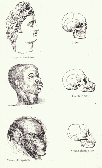 Race – Introduction to Gender, Women and Sexuality Studies